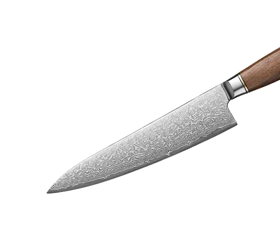 Gyuto Kokkeknive